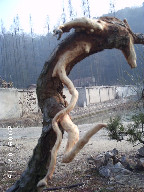 PHOT0107.JPG