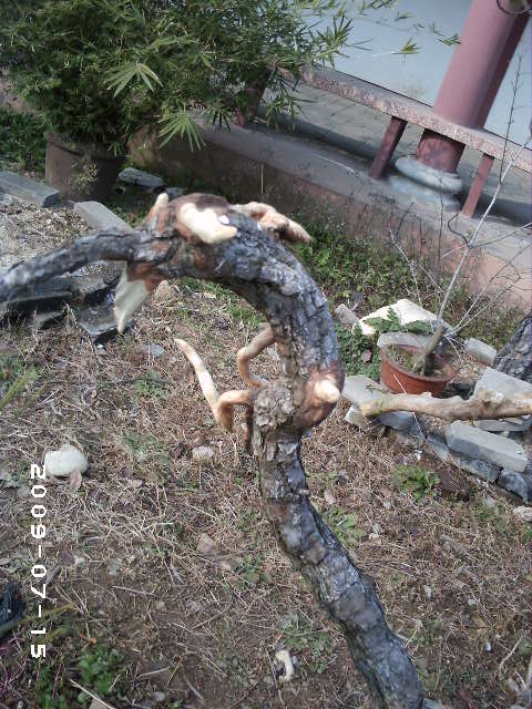 PHOT0108.JPG