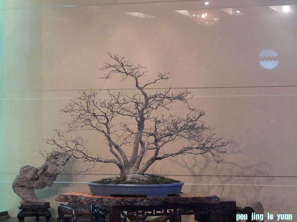 DSCF7204.jpg