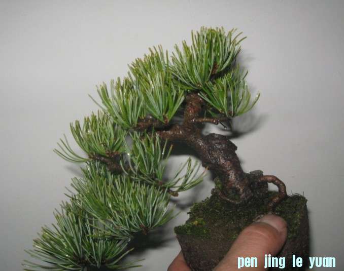 δ.01.jpg
