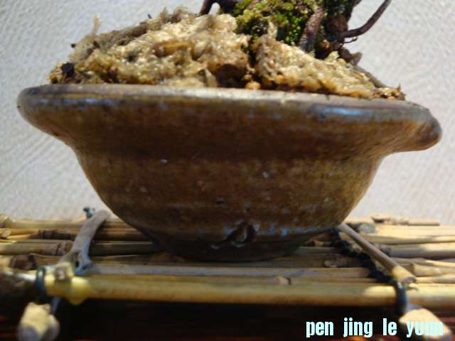 DSC01799.JPG