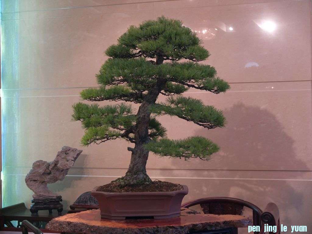 DSCF7722.jpg