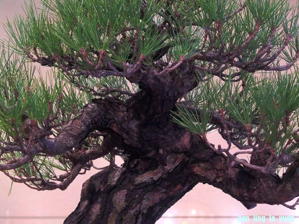 DSCF7748.jpg