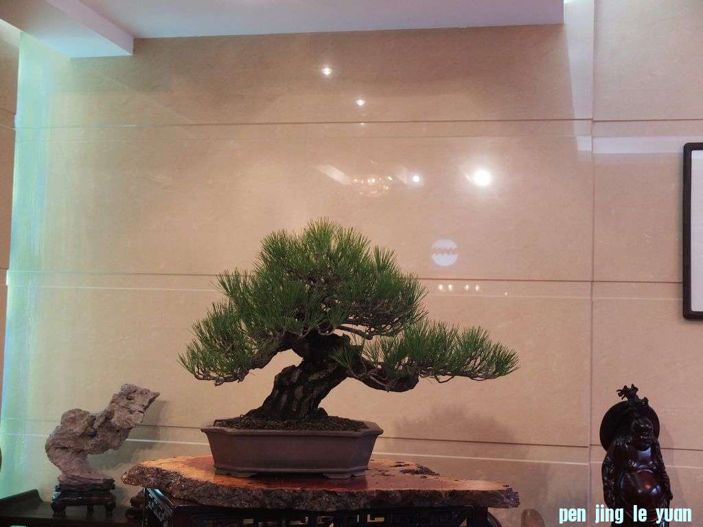 DSCF7760.jpg