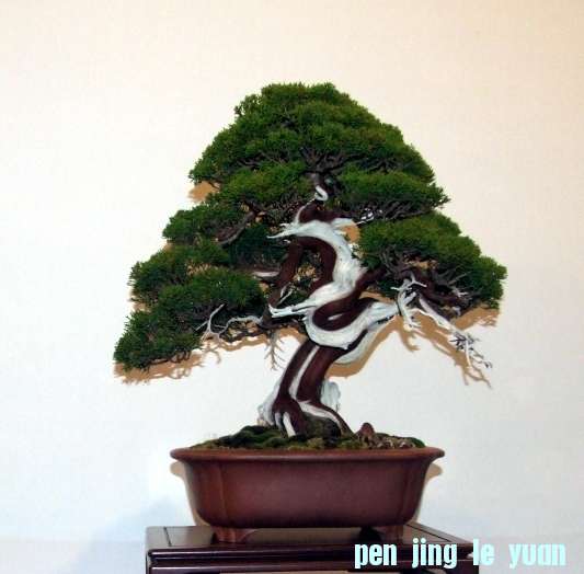 Noelanders Trophy XIII 2012 44b.jpg