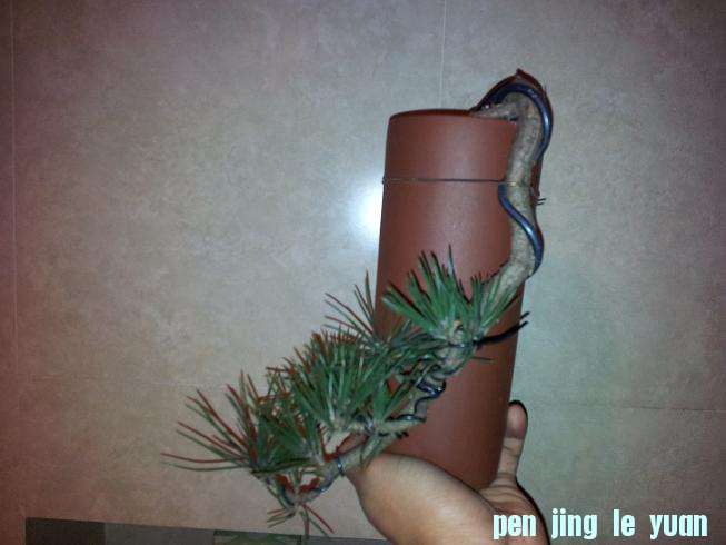 20130114_205509.jpg