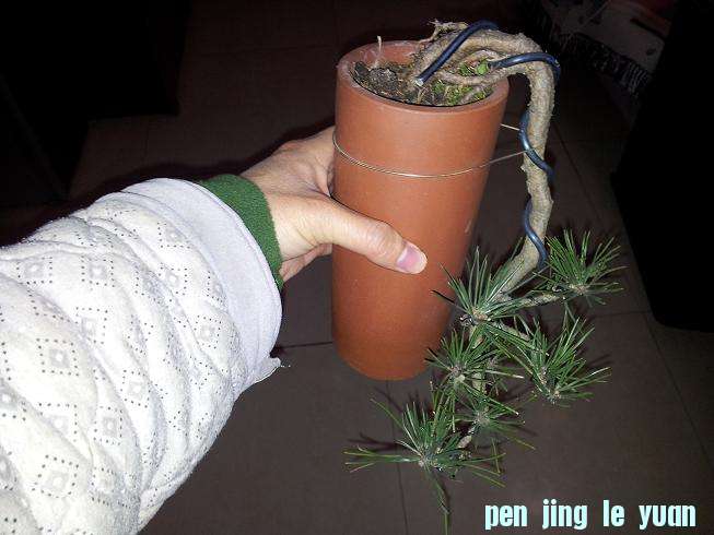 20130114_210351.jpg