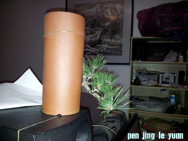 20130114_213900.jpg