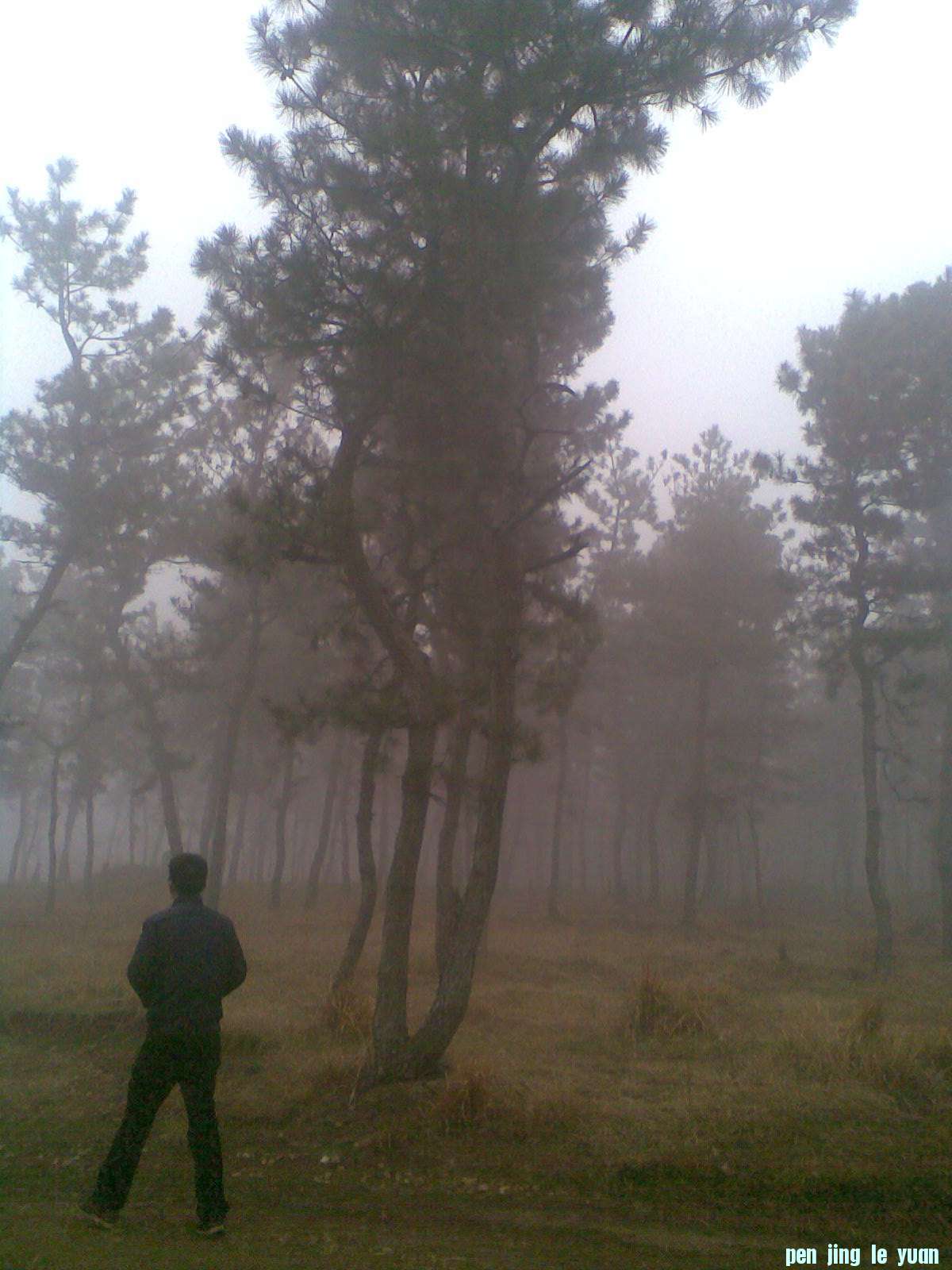 20130114(005).jpg