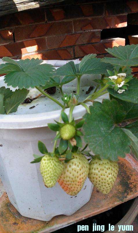 IMG0105105200.jpg