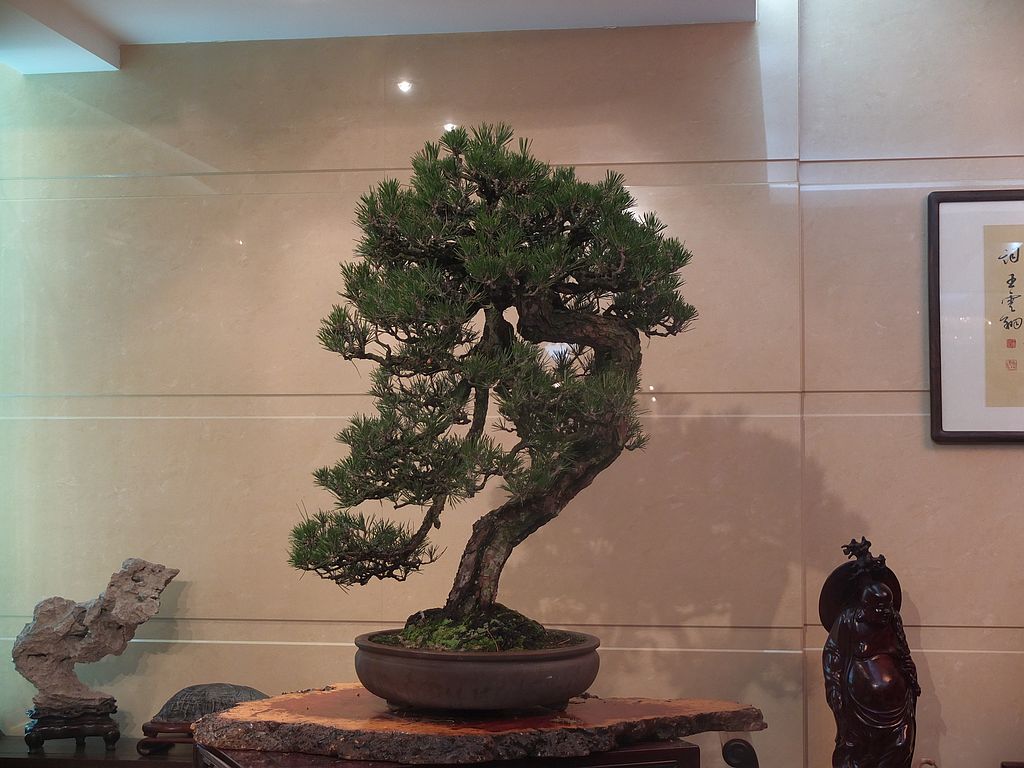 DSCF8113.jpg