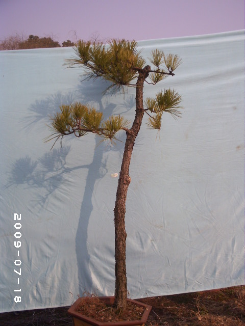 PHOT0112.JPG