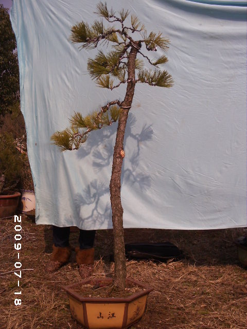PHOT0115.JPG