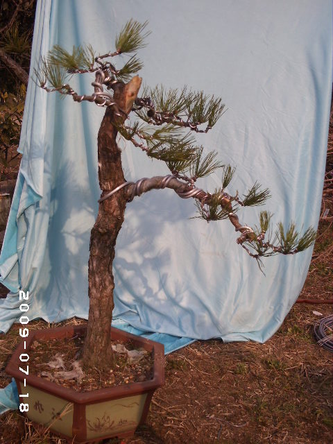 PHOT0120.JPG