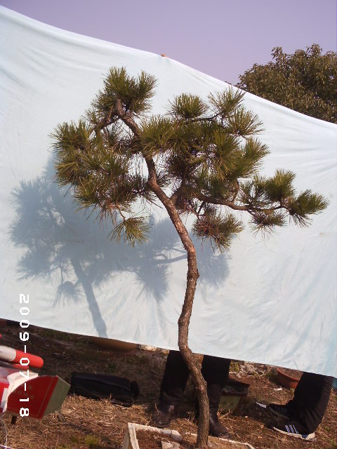 PHOT0116.JPG