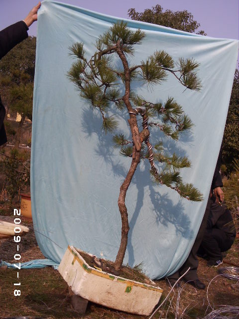 PHOT0118.JPG