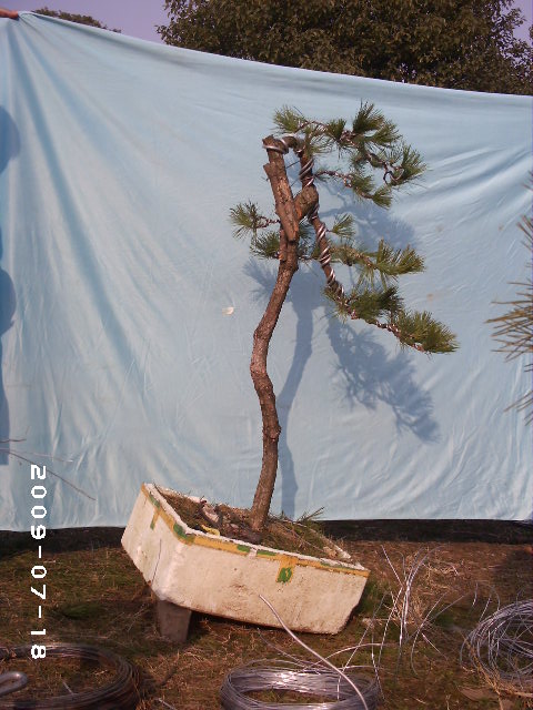 PHOT0119.JPG