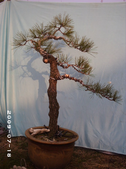 PHOT0125.JPG