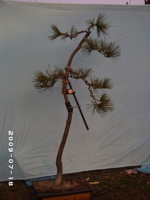 PHOT0126.JPG