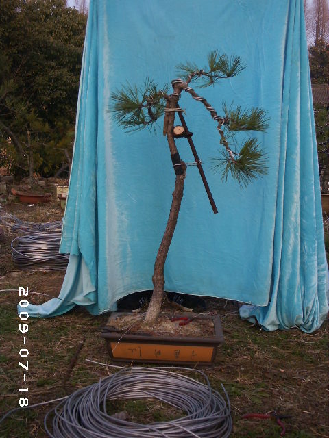 PHOT0129.JPG