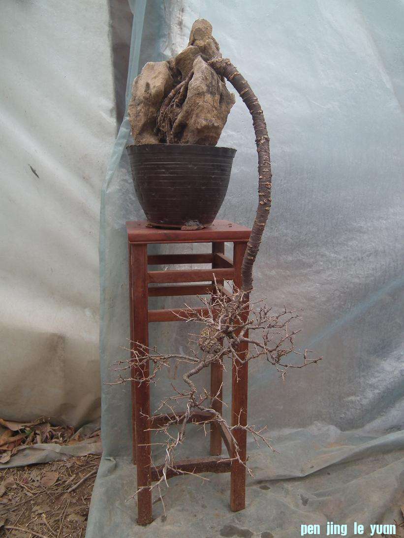 DSCF6167.JPG