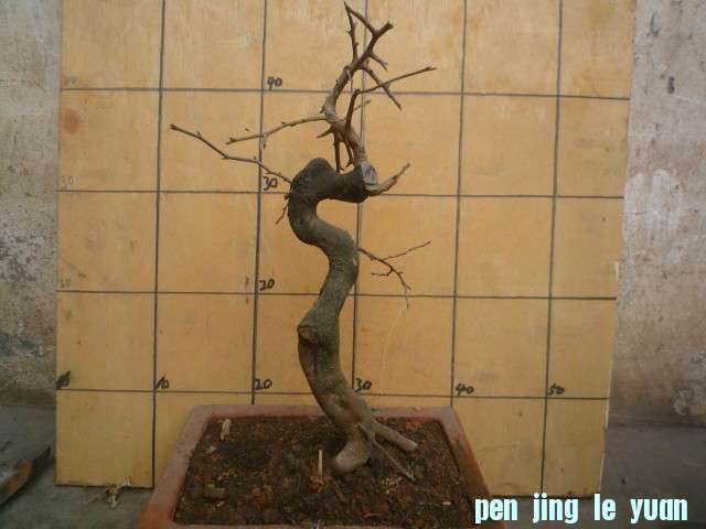2013118δ.jpg