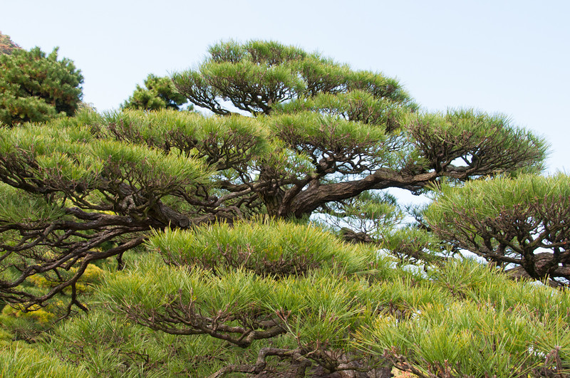 20111120-DSC_0060-L.jpg