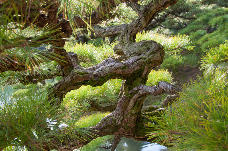 20111120-DSC_0150-L.jpg