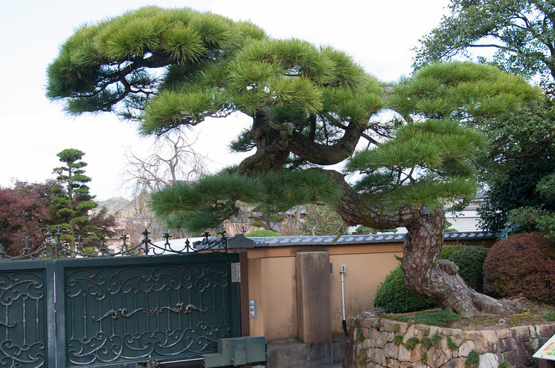 20111121-DSC_0254-L.jpg