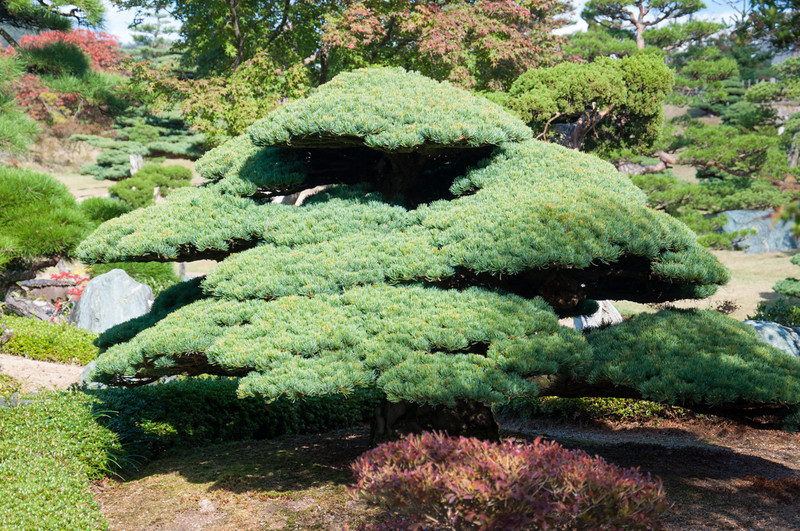 20111121-DSC_0300-L.jpg