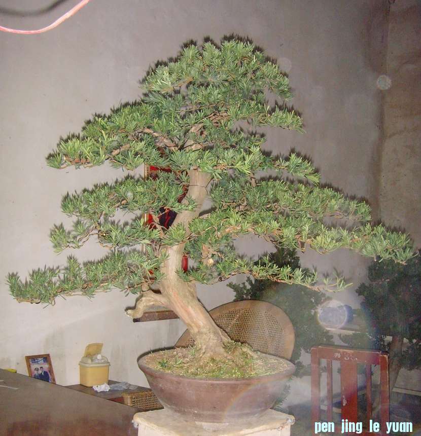 SNV39330.JPG