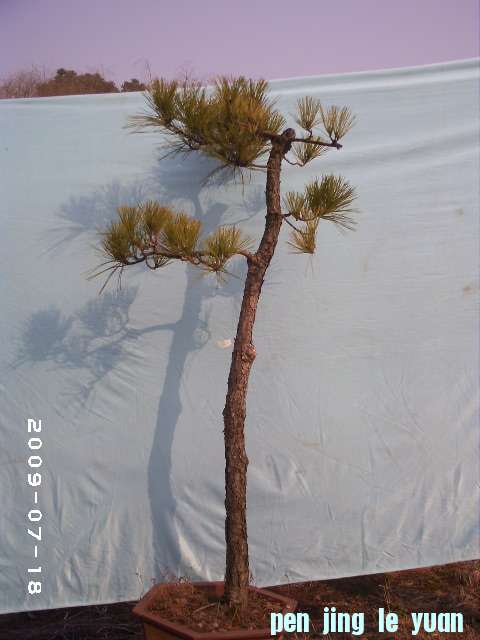 PHOT0112.JPG