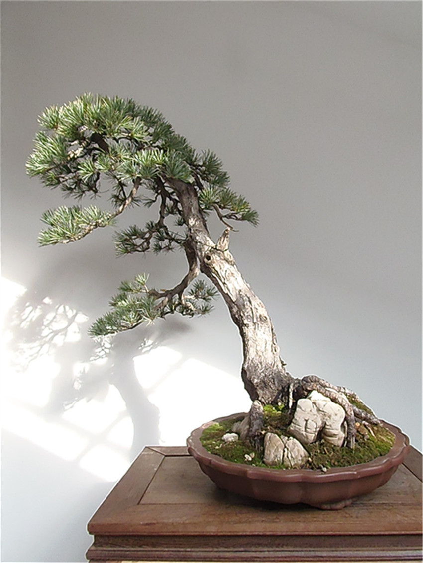 P1180048__.jpg