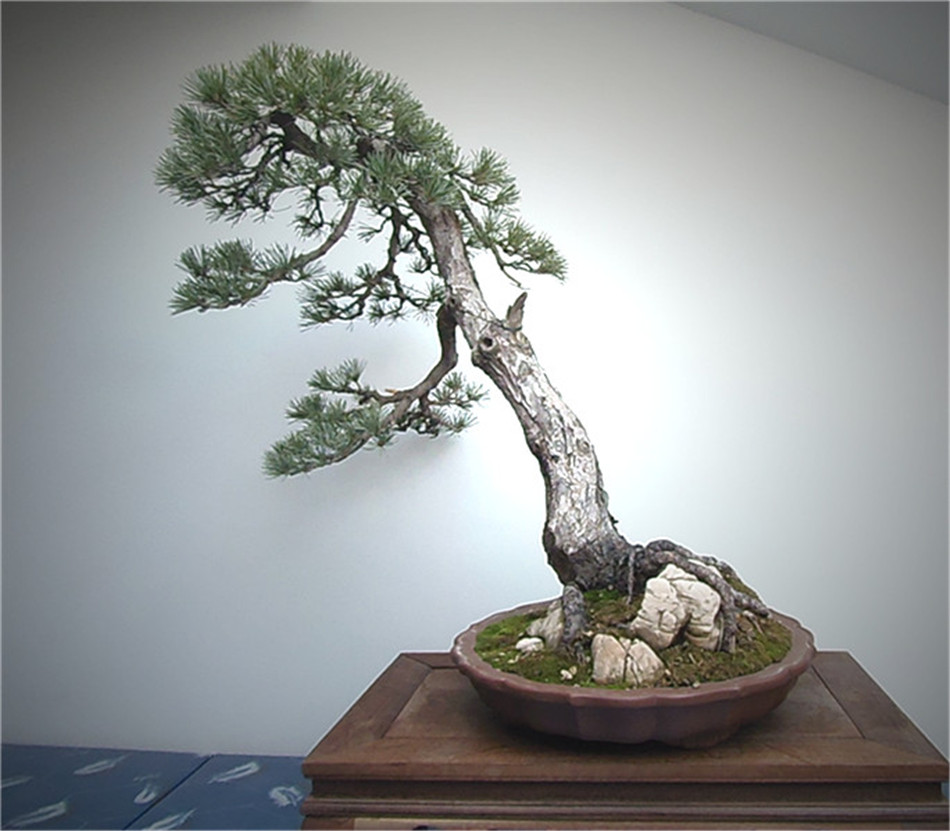 P1180031__.jpg