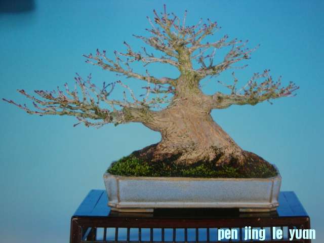 DSC09710.JPG