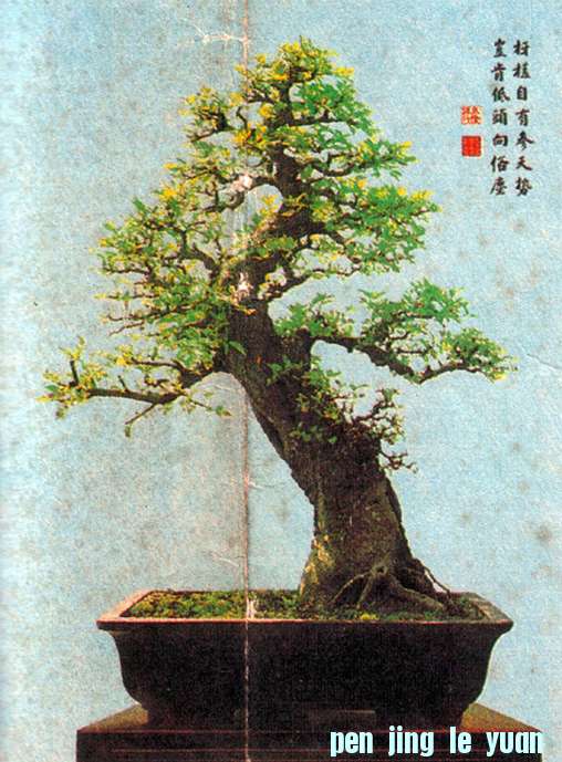 辰7.jpg