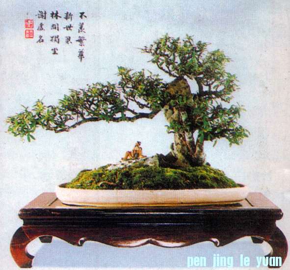 辰8.jpg