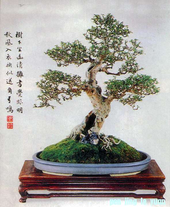 辰9.jpg
