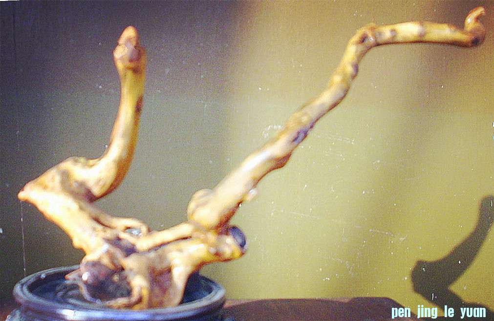 DSCI0067__.jpg