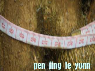 9ŸΧ53.5.JPG