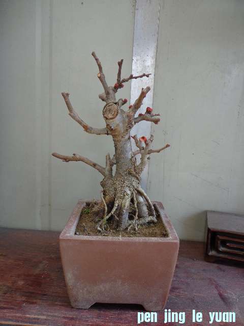 DSC00149.JPG
