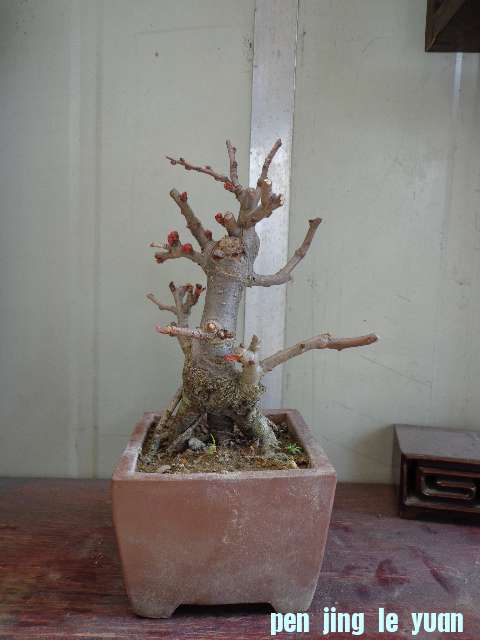 DSC00150.JPG