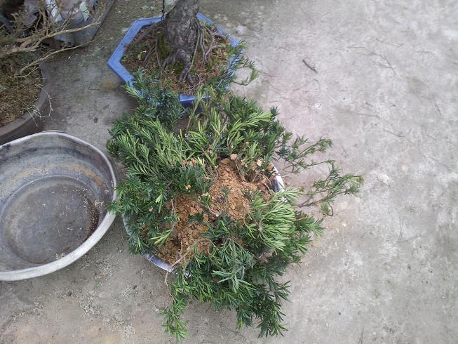 20130119_160659.jpg