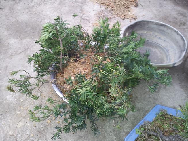 20130119_160713.jpg