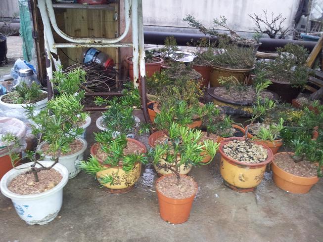 20130119_174050.jpg