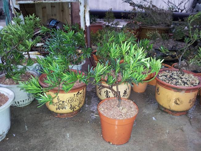 20130119_174055.jpg
