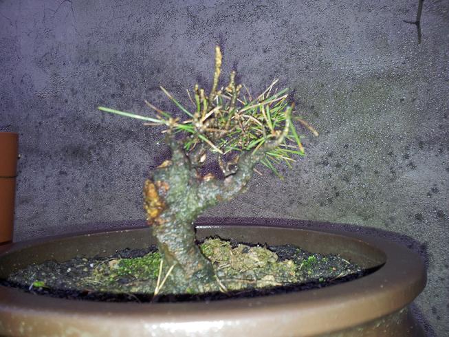 20130119_174956.jpg
