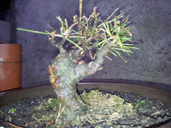 20130119_175008.jpg