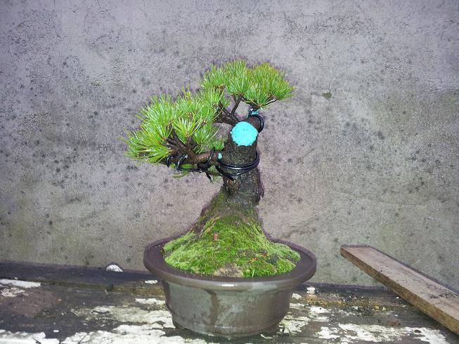 20130119_175353.jpg