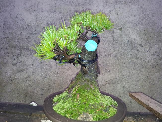 20130119_175358.jpg